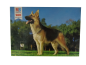 Preview: 280 Teile Puzzle Deutscher Schäferhund (1977) gebraucht