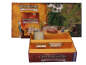 Preview: CRO-MAGNON gebraucht