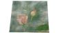 Preview: Serviette 33 x 33 cm Rosen 2 Motive
