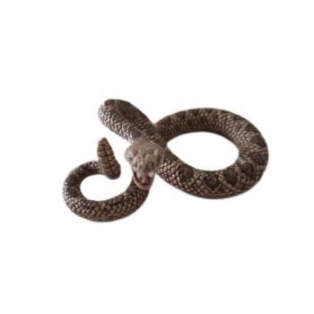 Schleich ® 14740 Klapperschlange gebraucht