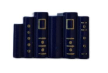 Playmobil ® 30640830 Bücher - Bund blau gebraucht