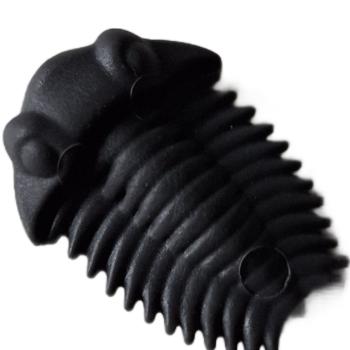 Playmobil ® 30082982 Trilobit gebraucht