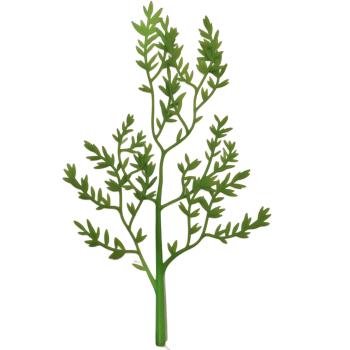 Playmobil ® 30889372 Ast - Blätter Trauerweide gebraucht