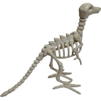 Playmobil ® Dino - Skelet gebraucht