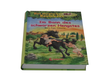 Das magische Baumhaus Band 47 Im Bann des schwarzen Hengstes  gebraucht