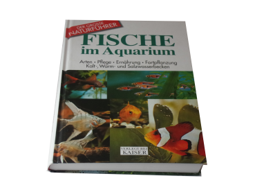 Fische im Aquarium  gebraucht