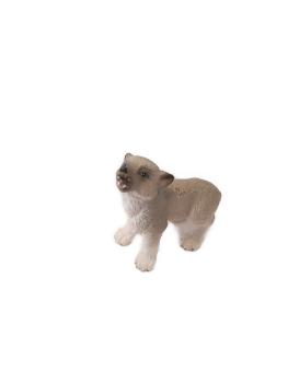 Schleich ® Wolfsjunges gebraucht