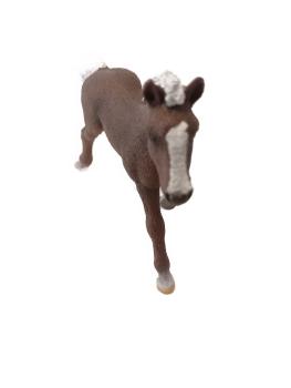 Schleich ® 13899 Schwarzwälder Fohlen gebraucht