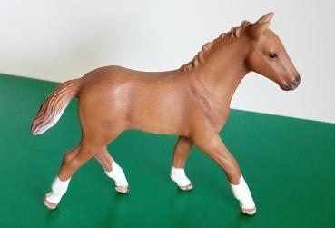 Schleich ® 13730 Hannoveraner Fohlen  gebraucht