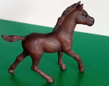 Schleich ® Araber Fohlen aus Kalender 2014 gebraucht