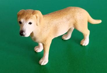 Schleich ® 16386 Labrador Rüde gebraucht