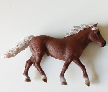 Schleich ® Pony Hengst aus 42481 gebraucht