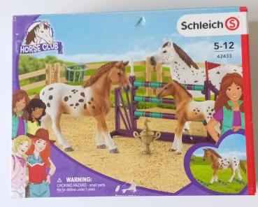 Schleich ® 42433 HORSE CLUB Lisas Turnier-Training gebraucht