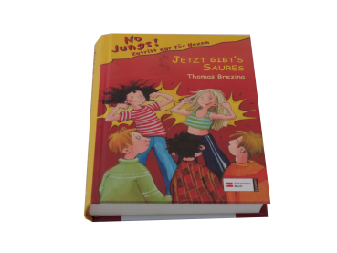 No Jungs! Zutritt nur für Hexen  " Jetzt gibt´s Saures"  gebraucht