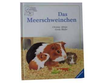 Das Meerschweinchen ab 4 Jahre gebraucht