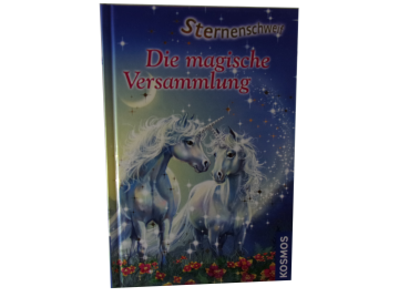 Sternenschweif: Die magische Versammlung (B.17) gebraucht