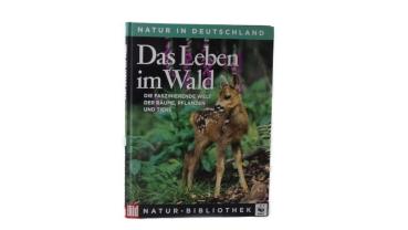 Das Leben im Wald gebraucht