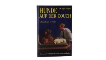 Hunde auf der Couch gebraucht