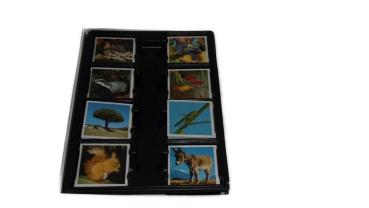 Natur - memory gebraucht