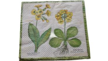 Serviette 33 x 33 cm Schlüsselblume
