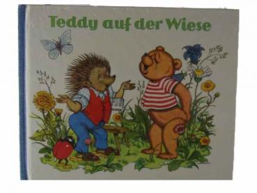 Teddy auf der Wiese  gebraucht