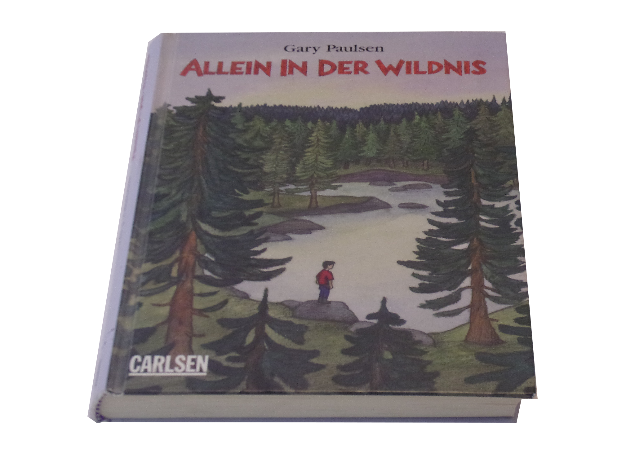 Alleine In Der Wildnis Zusammenfassung www.der-spieleonkel.de