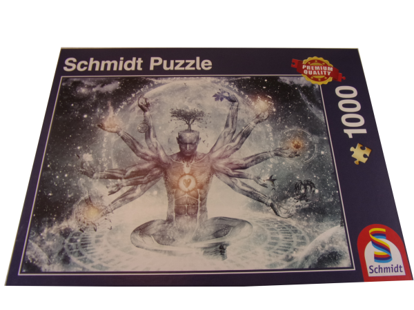 1000 Teile Puzzle Traum im Universum gebraucht