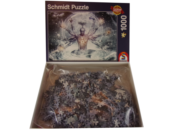 1000 Teile Puzzle Traum im Universum gebraucht