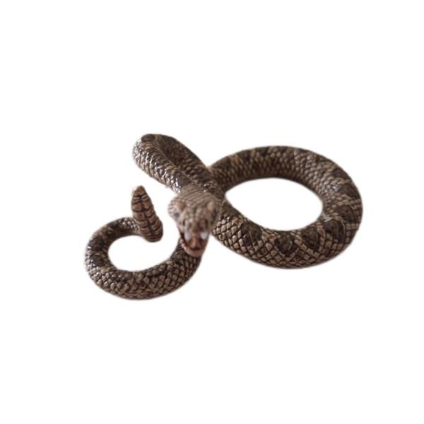 Schleich ® 14740 Klapperschlange gebraucht