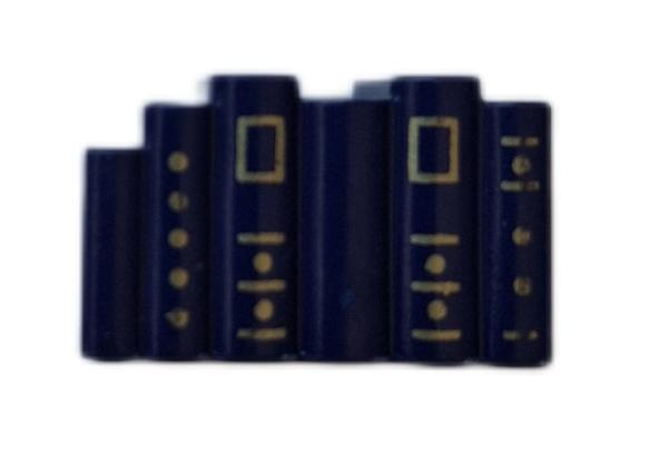 Playmobil ® 30640830 Bücher - Bund blau gebraucht