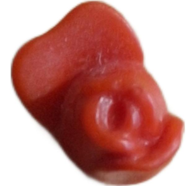 Playmobil ® 30253290 Rosenblüte geschlossen rot gebraucht