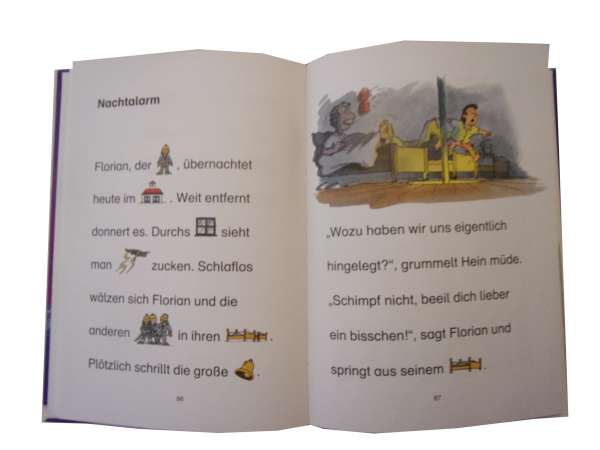 Lesemaus Das große Buch für Lesemäuse gebraucht