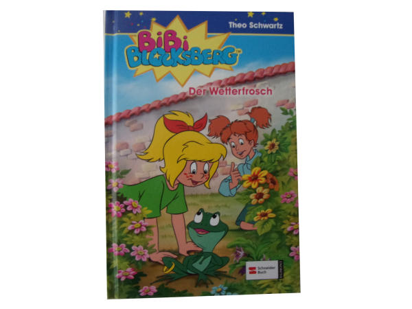 Bibi Blocksberg - Der Wetterfrosch   gebraucht