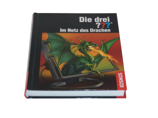 Die drei ??? Im Netz des Drachen gebraucht