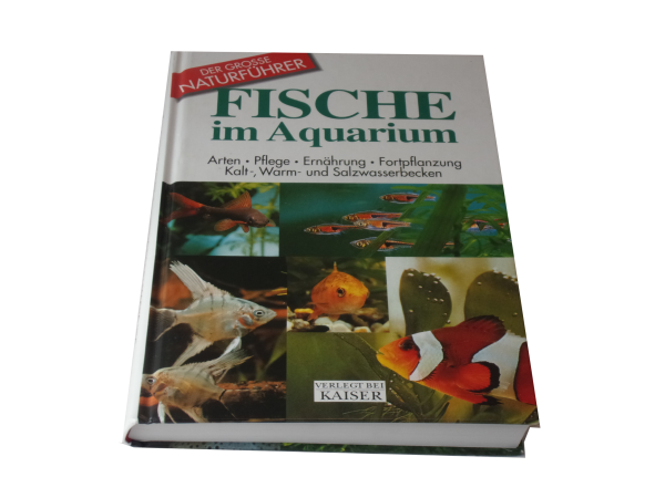 Fische im Aquarium  gebraucht