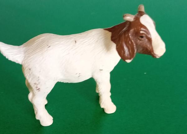 Schleich ® 13260 Burenzicklein gebraucht