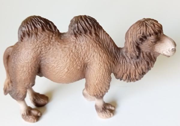 Schleich ® 14348 Trampeltier gebraucht