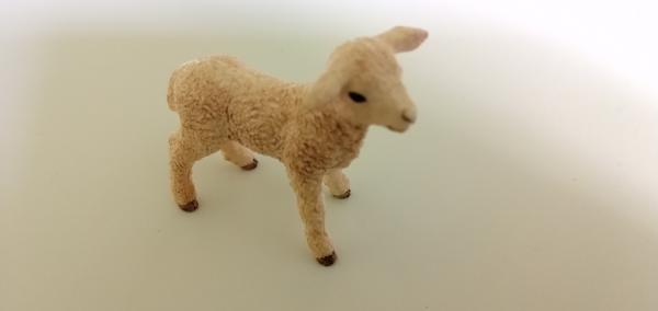 Schleich ® 13883 Lamm gebraucht