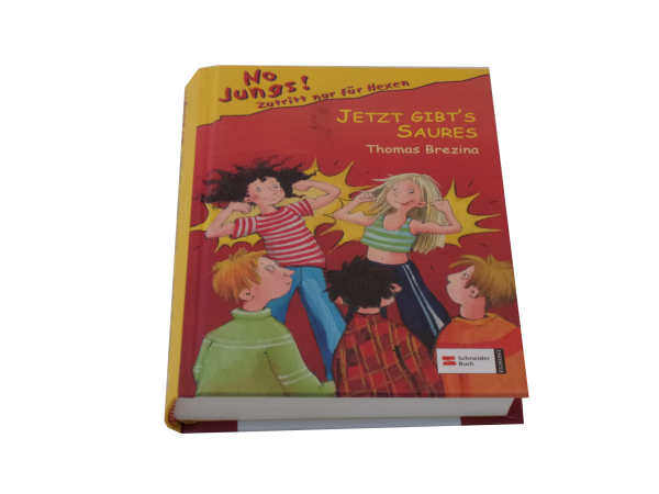 No Jungs! Zutritt nur für Hexen  " Jetzt gibt´s Saures"  gebraucht