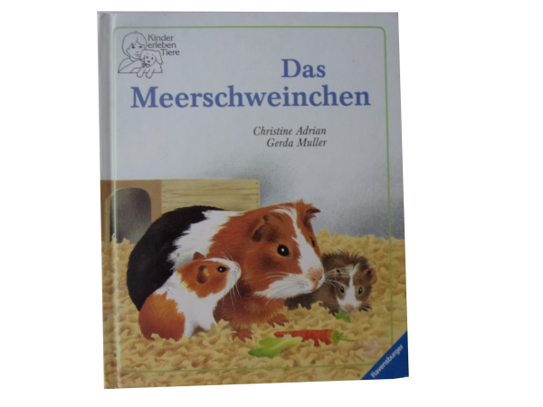 Das Meerschweinchen ab 4 Jahre gebraucht