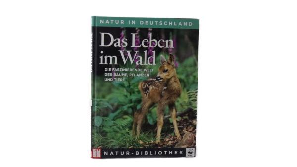 Das Leben im Wald gebraucht