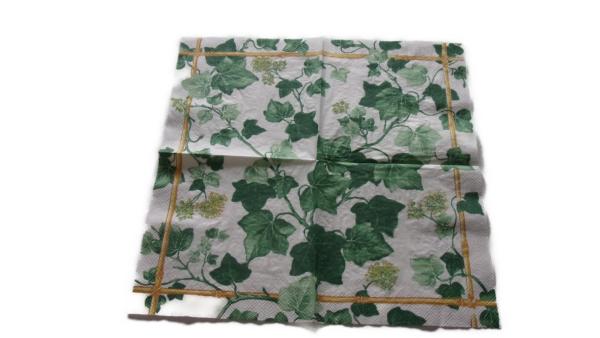 Serviette 33 x 33 cm Efeu