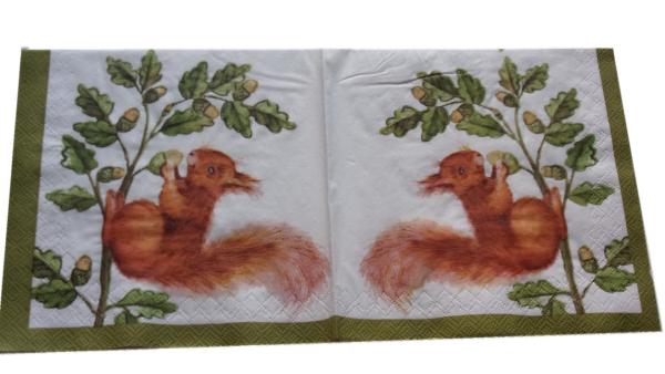 Serviette 33 x 33 cm Eichhörnchen