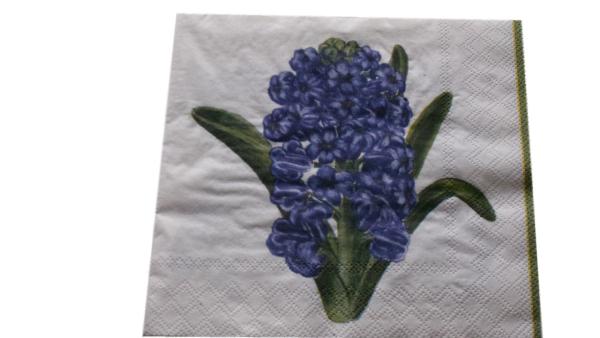 Serviette 33 x 33 cm Hyazinthen 2 Motive