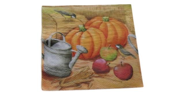 Serviette 33 x 33 cm Kürbis mit Meisen
