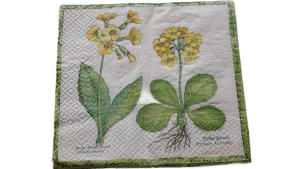Serviette 33 x 33 cm Schlüsselblume
