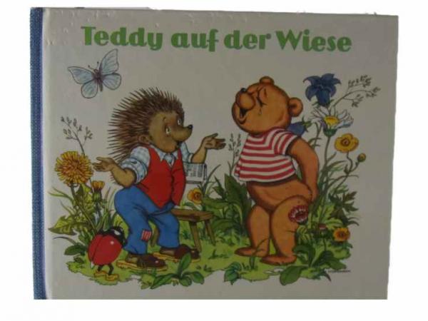 Teddy auf der Wiese  gebraucht