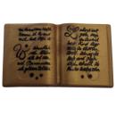 Playmobil ® 30636460 Buch offen golden gebraucht